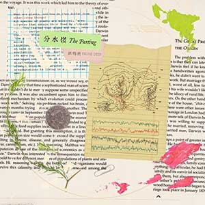 话梅鹿《分水岭》「2023」[无损FLAC/MP3]