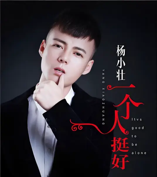 杨小壮《一个人挺好》顶级无损原版(最高音质)[内嵌封面歌词][臻品母带-177MB/WAV-297MB/FLAC/MP3-320K/蓝光高清MP4] 