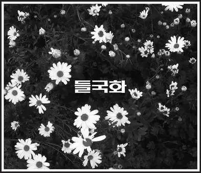 들국화(野菊花)《걱정말아요 그대 / 你不要担心》[FLAC/MP3-320K]
