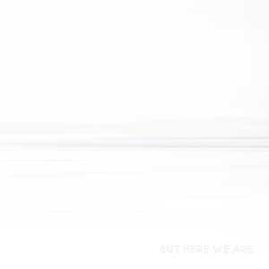 Foo Fighters《But Here We Are》「2023」[无损FLAC/MP3]