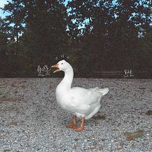 窦靖童《春游》(2023)[无损FLAC/MP3]