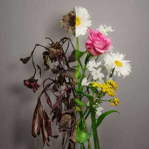 艺声《Unfading Sense》「2023」[无损FLAC/MP3]